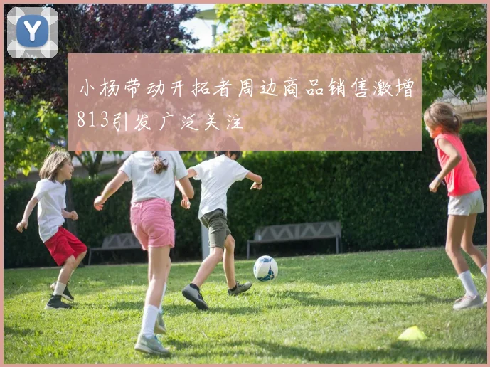 小杨带动开拓者周边商品销售激增813引发广泛关注