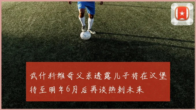 武什科维奇父亲透露儿子将在汉堡待至明年6月后再谈热刺未来