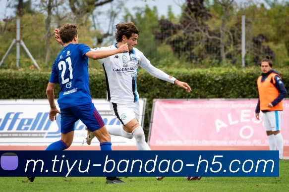 半岛体育全站App